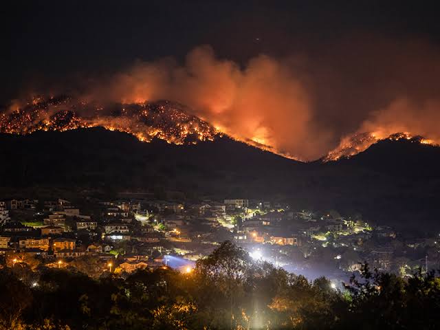 How Australian Households Are Preparing for Bushfire Season This Summer